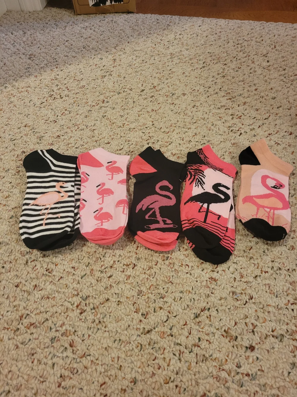 Women's Pink Flamingo Low-Cut Socks - Pack of Mixed Designs